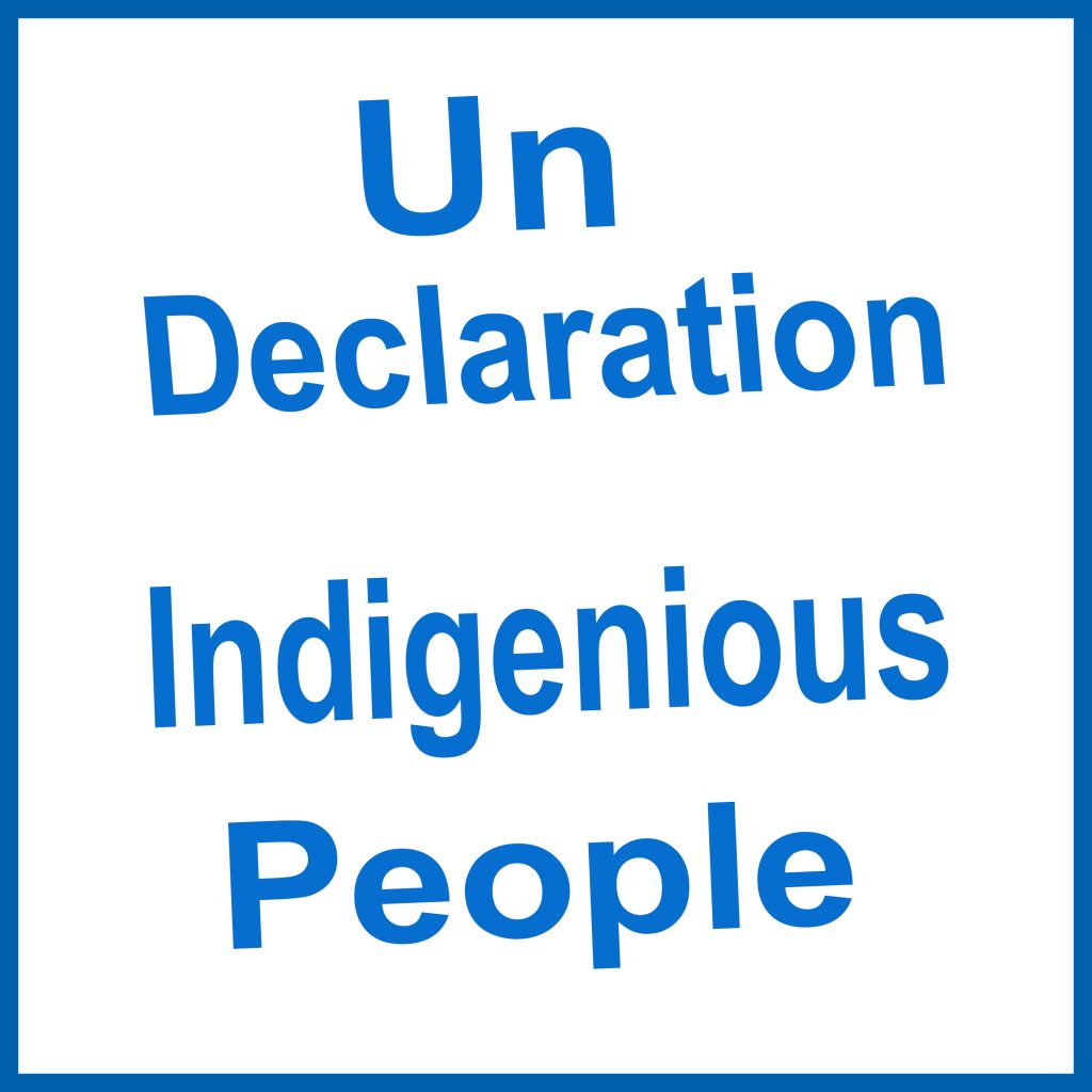 UN Declaration