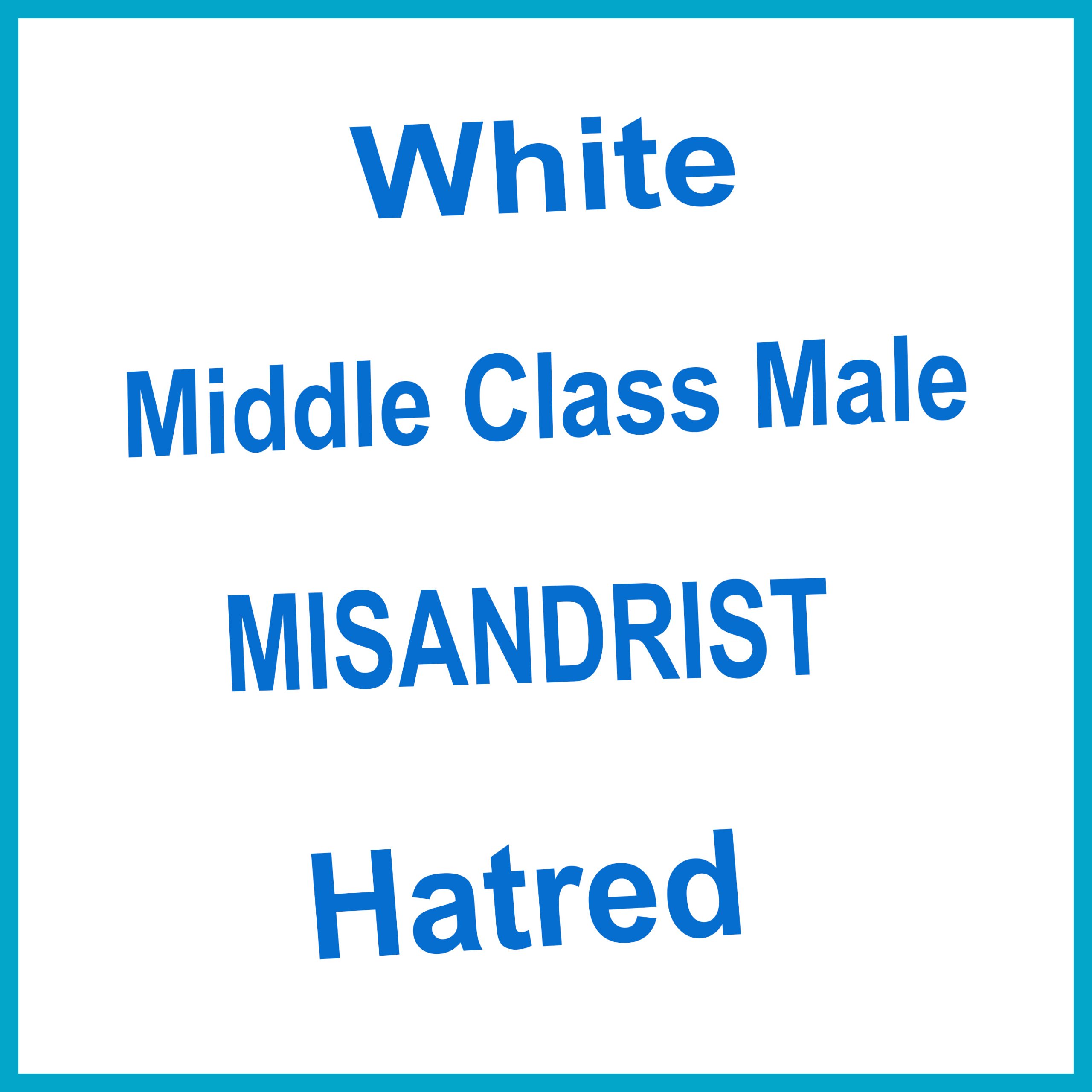 Anti Irish – Anti White Middle Class Male – White Privilege – Vile MISANDRIST Hatred, Begrudgery, Sexist, Racist.