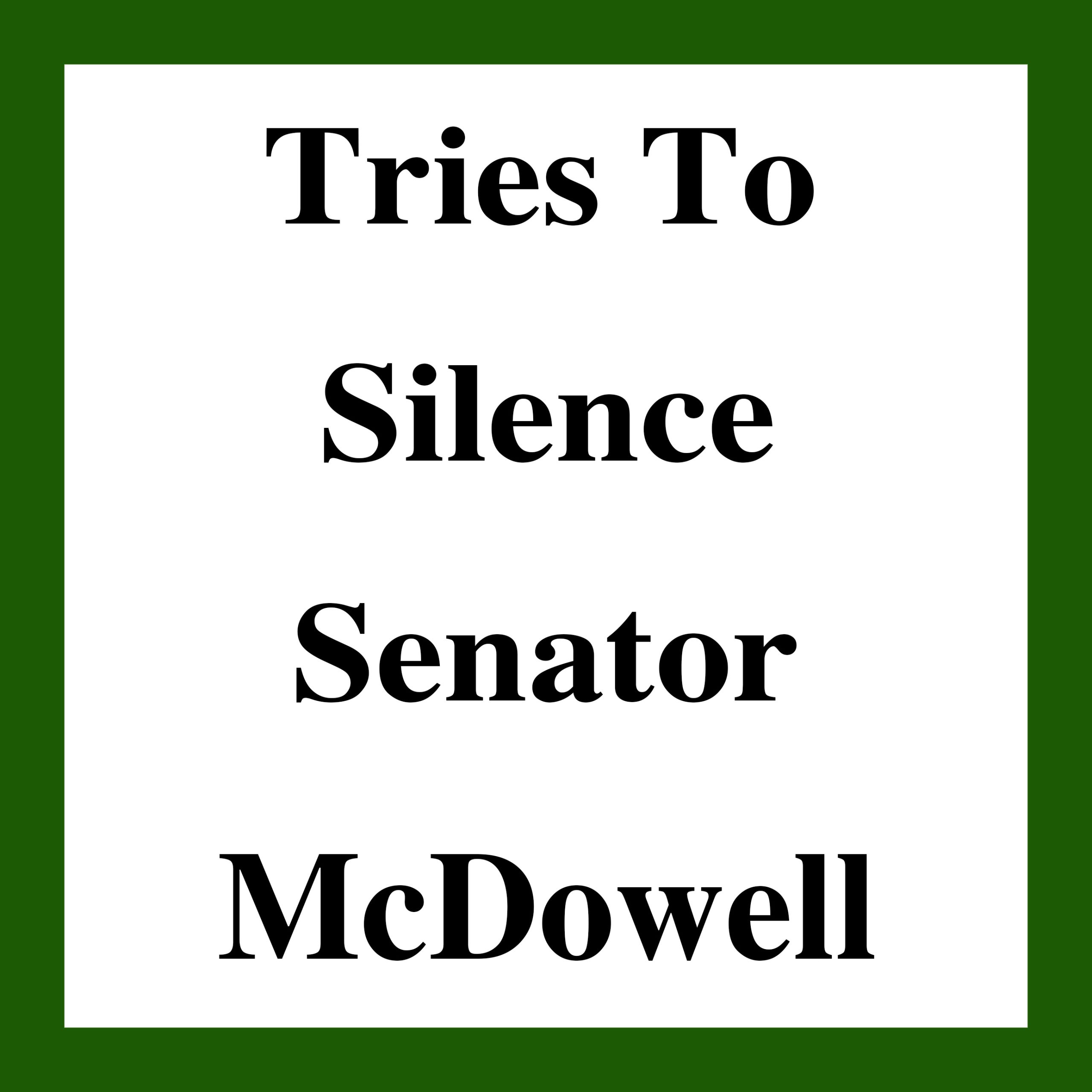 Tries To Silence Senator Michael McDowell on EU Migration Pact on 16 April 2024.